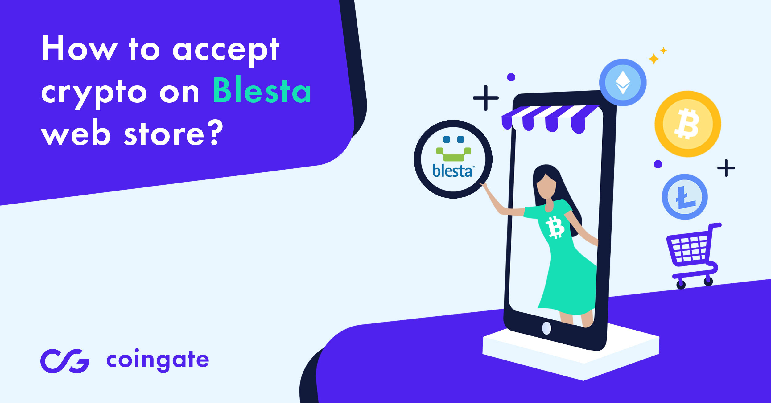 Blesta accept crypto plugin