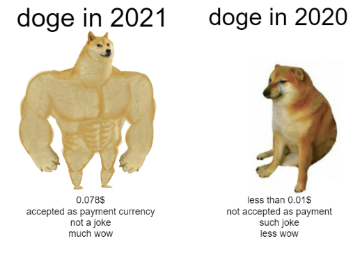 doge stronk in 2021